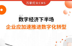 數(shù)字經(jīng)濟(jì)下半場(chǎng)，企業(yè)應(yīng)加速推進(jìn)數(shù)字化轉(zhuǎn)型